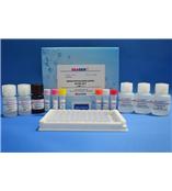 新霉素检测试剂盒