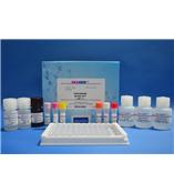 链霉素检测试剂盒