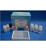 金霉素酶联免疫反应测试盒