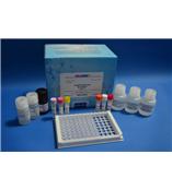 可乐定酶联免疫反应试剂盒