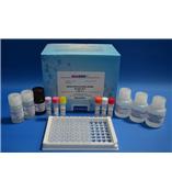 喹乙醇酶联免疫反应检测试剂盒