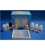 馬布特羅酶聯免疫反應試劑盒
