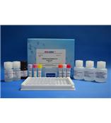 沙丁胺醇酶联免疫反应试剂盒