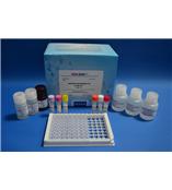 硝基咪唑类酶联免疫反应试剂盒