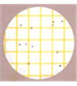 金黃色葡萄球菌測試片確證反應片，金葡氏菌反應片，6493測試反應片，3M測試片反應片