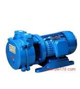 HG201-Sk直联水环式真空泵