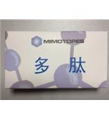 堿性成纖維細胞生長因子，FGF