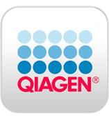 现货QIAGEN Plasmid Mini Kit(规格25次)质粒小提试剂盒(Qiagen货号12123)上海柏丝特生物