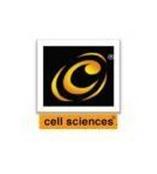 Cell Sciences ELISA试剂盒 单克隆抗体 多克隆抗体丨价格优惠 货期保证