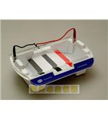 HM-II 型多功能水平电泳槽|琼脂凝胶电泳设备|分析设备