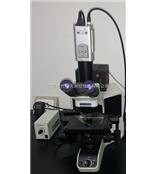 礦棉巖棉纖維直徑顯微檢測系統——標準型號TXW-3