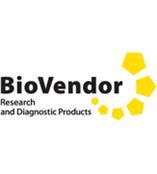 天然人clusterin蛋白，BioVendor貨號RD172034100-S上海雅裕生物(上海新型代理)