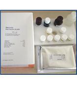 Porcine Insulin ELISA kit猪胰岛素试剂盒
