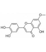 羟基芫花素hydroxygenkwanin CAS编号：20243-59-8 贝斯特试剂