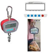 供應(yīng)OCS-F系列家用型吊秤，電子稱，家用電子稱