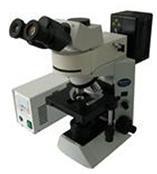 供應熒光顯微鏡|三目熒光顯微鏡MF41