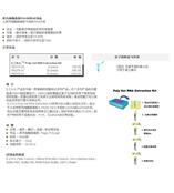 供应聚丙烯酰胺凝胶RNA