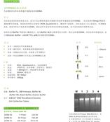 供应组织DNA提取试剂盒