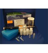 供应MOBIO 15800-50 细菌微生物纯培养RNA提取试剂盒