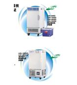 综合药品稳定性试验箱LHH系列