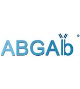 美国ABGAB原装进口Annexin v凋亡检测试剂盒5折特价优惠活动