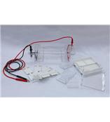 供應(yīng)維修瓊脂糖水平電泳儀南京庚辰瓊脂糖水平電泳儀南京瓊脂糖水平電泳儀DYCP-31DN型北京