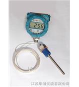 防爆数字温度显示仪