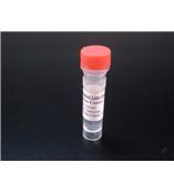 苏州铝棒拉力机