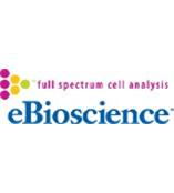 Ebioscience荧光抗体现货供应，上海新肽生物54402880！