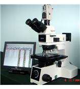MX-4RF/DIC微分干涉显微镜