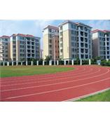 足球场,网球场,篮球场