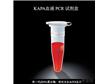 KK7003KAPA 血液 PCR 试剂盒-KAPA BloodDirect PCR Kit B,