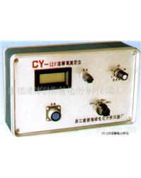 溶解氧分析仪CY-12F