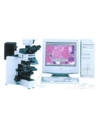 顯微圖像分析系統MIAS-4400