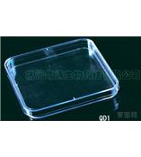 13*13CM培养皿