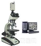 DMM-550C正置明暗场偏光透反射金相显微镜