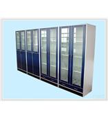 苏州器皿柜/药品柜/气瓶柜