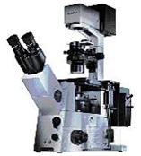 IX71奥林巴斯OLYMPUS 倒置显微镜