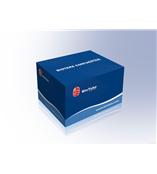 超敏可逆蛋白染色试剂盒（国内新型推出）