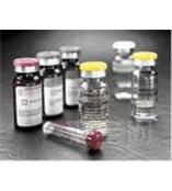 国产和进口抗生素系列