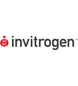 美国Invitrogen  Dynal免疫磁珠