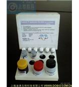 48T ELISA白介素-19(IL-19 ELISA)