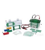 Biorad Mini-PROTEAN Tetra Electrophoresis System 伯乐小型垂直电泳槽165-8001