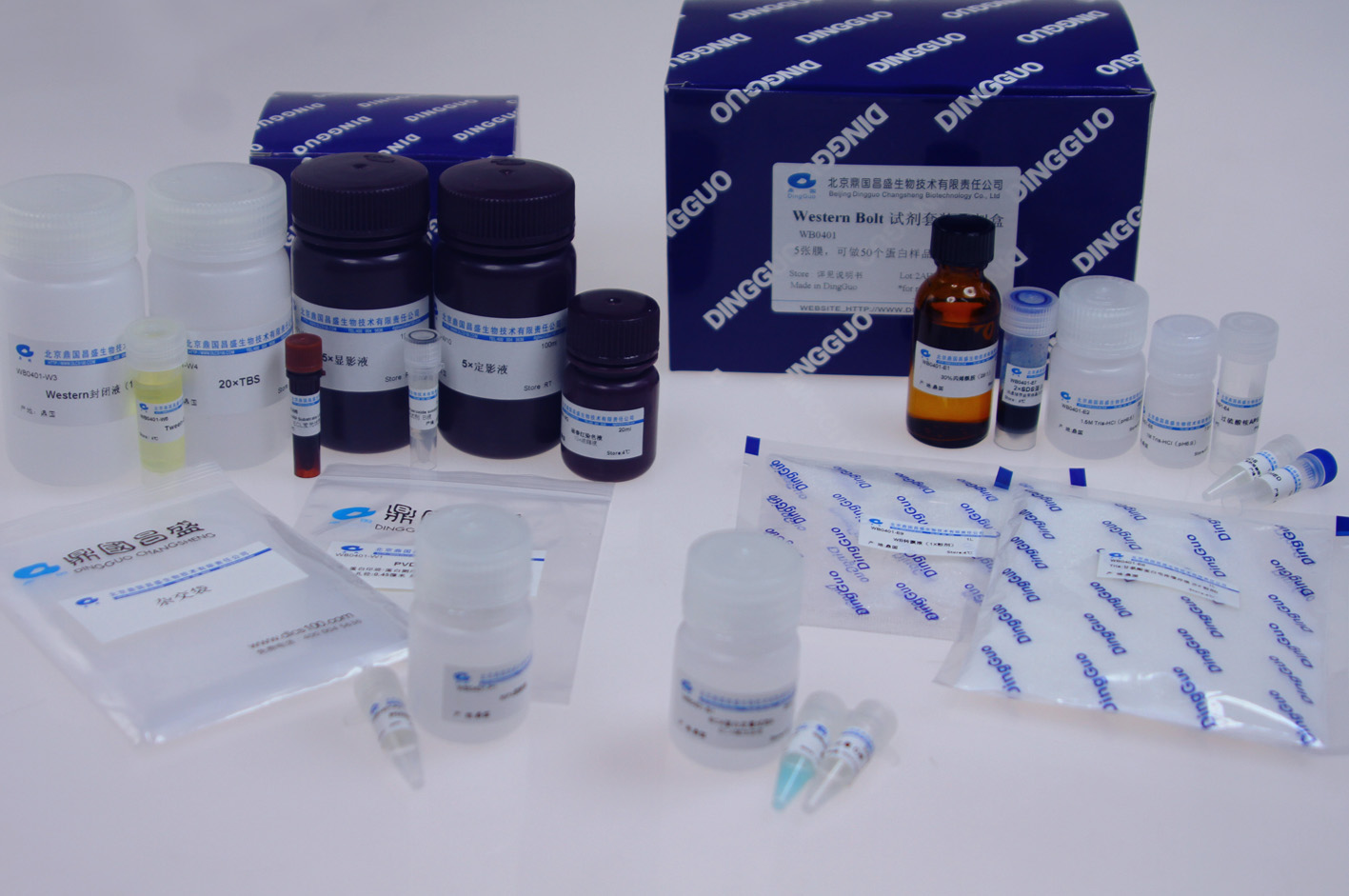westernbolt免疫印迹试剂套装bcs蛋白定量试剂ecl发光试剂盒