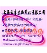 F01900	人基质金属蛋白酶-9(human MMP-9)