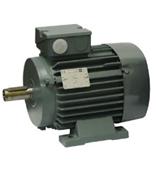 VEM motors IE2-WE1R 225 S4 KV NS VL HW电机
