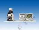 激光共聚焦显微镜（Laser Scanning Confocal Microscope）