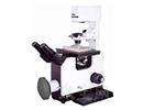 数码倒置生物显微镜BD31系列