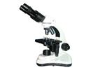 生物显微镜XBP-B5系列