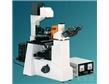 XSP-12CⅣ倒置荧光显微镜